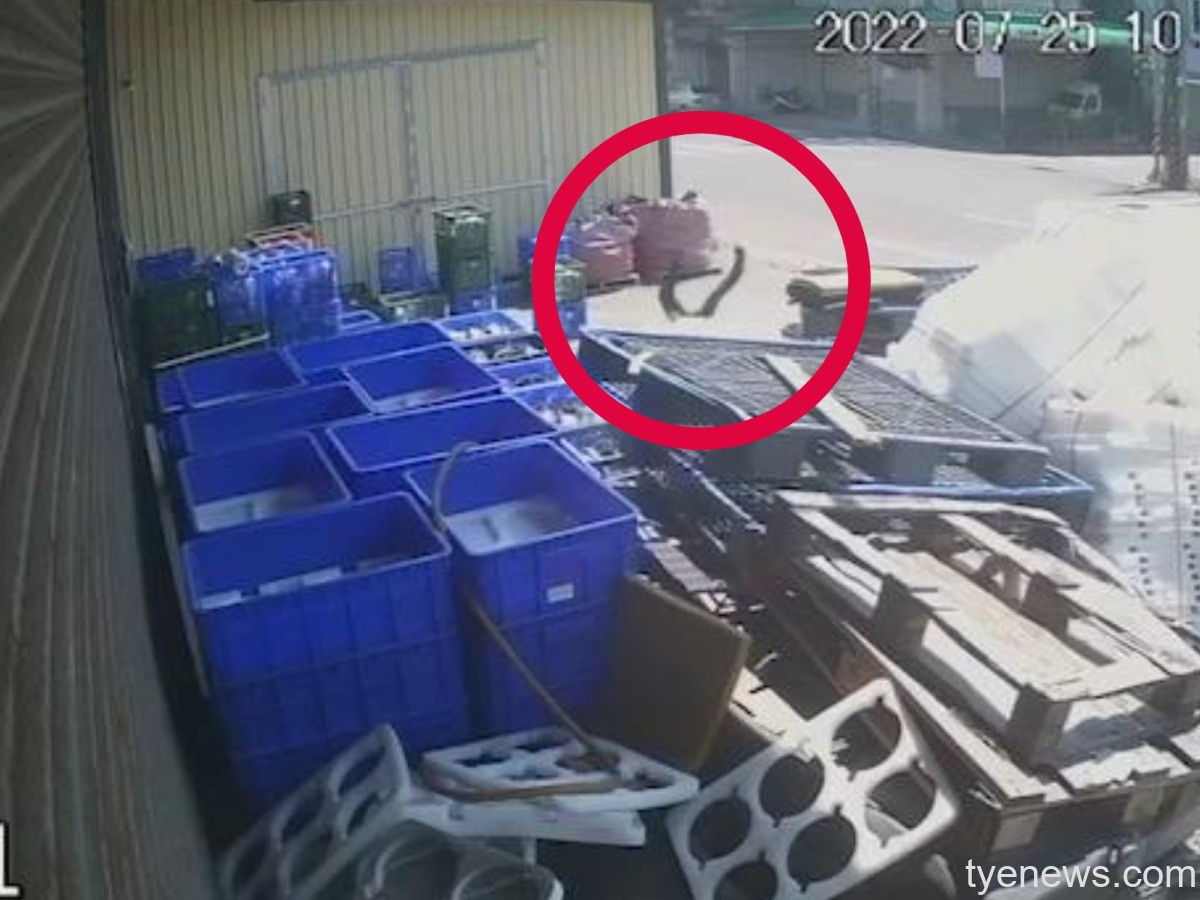 【有片】嚇壞路人!遭小貨車撞捲入車底 7旬婦傷重不治 FotoJet 1