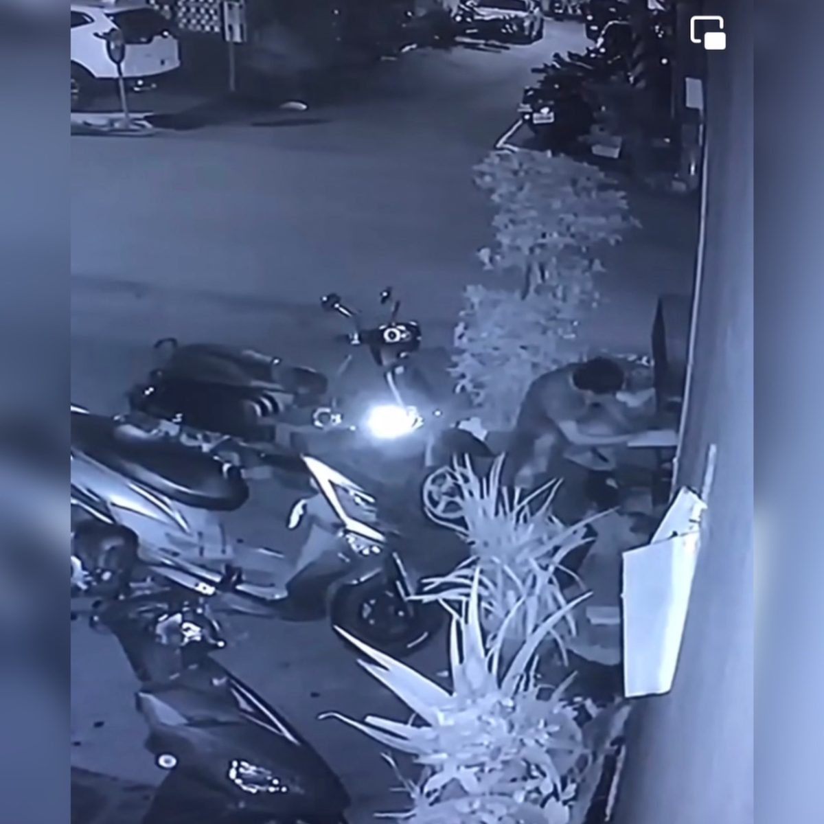 【有片】殘忍影片曝!兔子遭重摔狠砸後補踹三腳致死