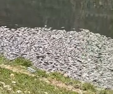螢幕擷取畫面 61 e1658980036568
