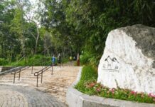 假日踏青好去處!龍潭石門山北段入口步道啟用