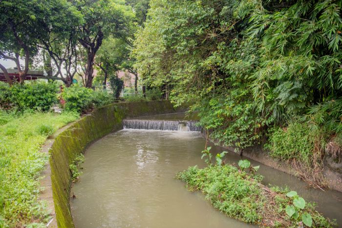 大溪低揚二號池整治預計明年7月完工 變身埤塘生態公園 - 台北郵報 | The Taipei Post