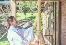 免出國!桃園神社引進日本參拜文化 「良緣之神」跨海來台