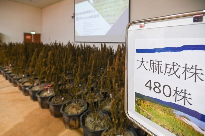桃警破獲大麻農場、地下兵工廠 鄭文燦頒慰問金表揚 20221117143255177
