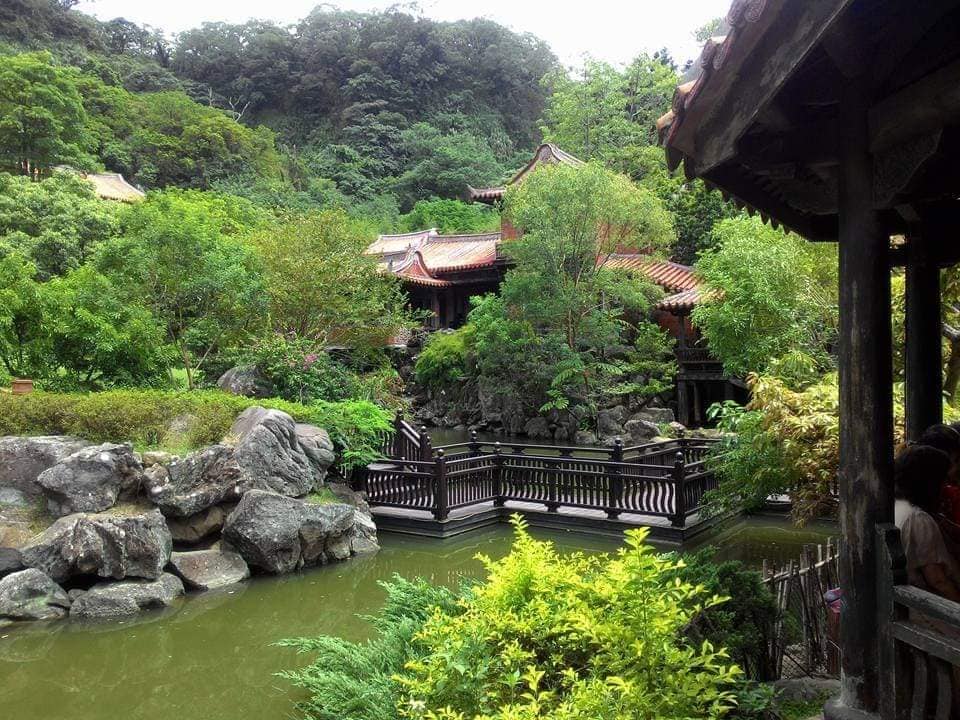 【桃園文選】雨中南園得水而活 來場心靈洗滌之旅 25