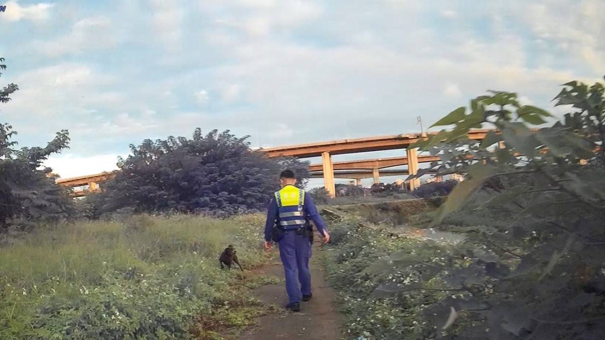【有片】老翁走失家屬報警急尋 黑狗帶路助順利找人 S 112476182 scaled