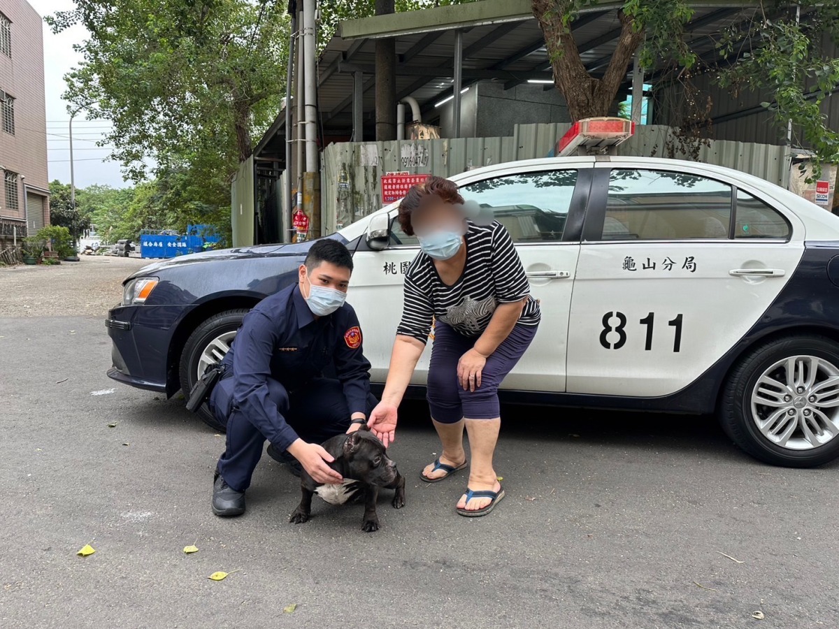「惡霸」走失公園遊蕩 龜山警護送黑犬平安返家 S 254402593
