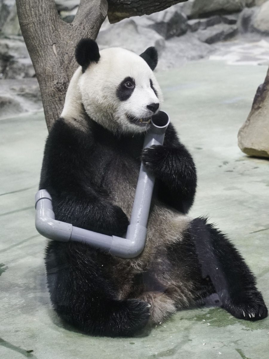 「圓寶」：我和媽媽會在冰床上做親子瑜珈，超有趣的！ scaled