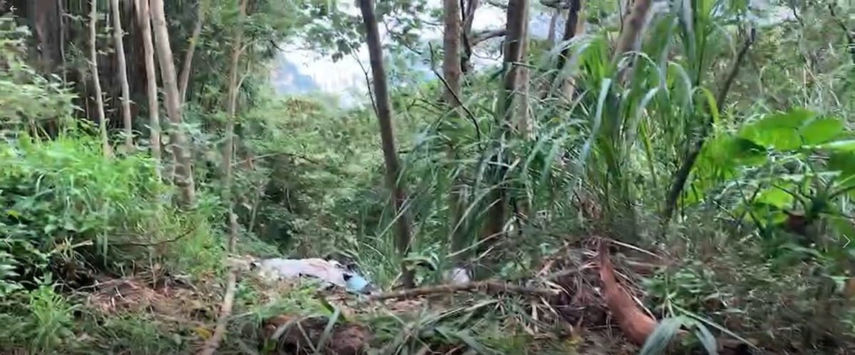 快訊/台版柬埔寨!58人獲救1下落不明 2人疑遭棄屍龜山 螢幕擷取畫面 236 e1667548468898