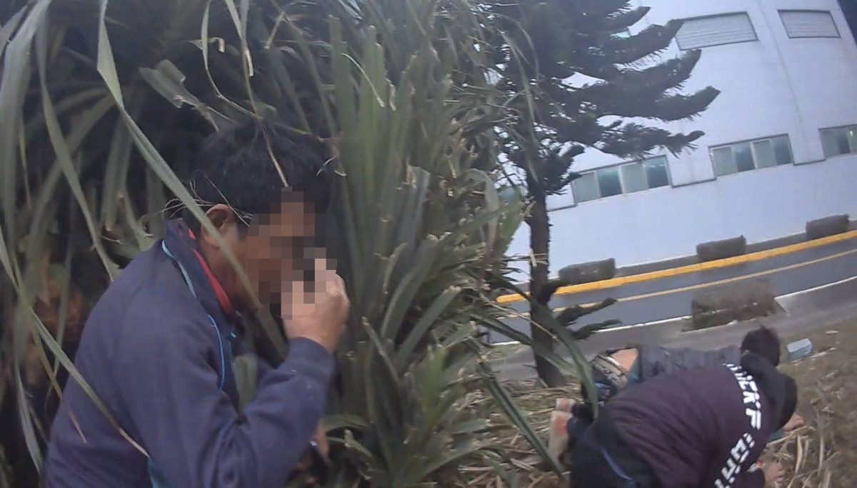 以為是小偷!工地清晨擺梯子引懷疑 觀音警揪出4男身分竟是 215565 scaled