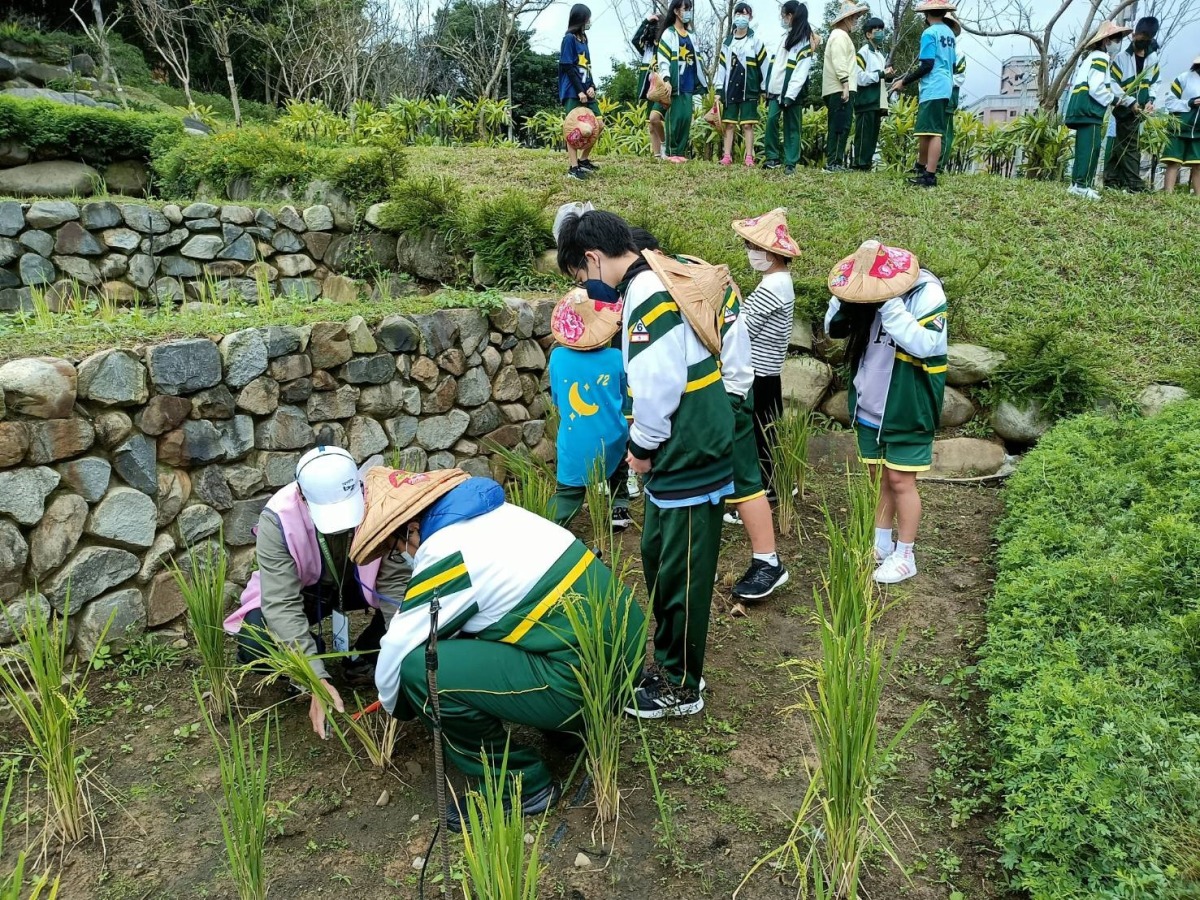 桃園工務局「都市農夫體驗營」春節前大有梯田生態公園熱情登場 2 5