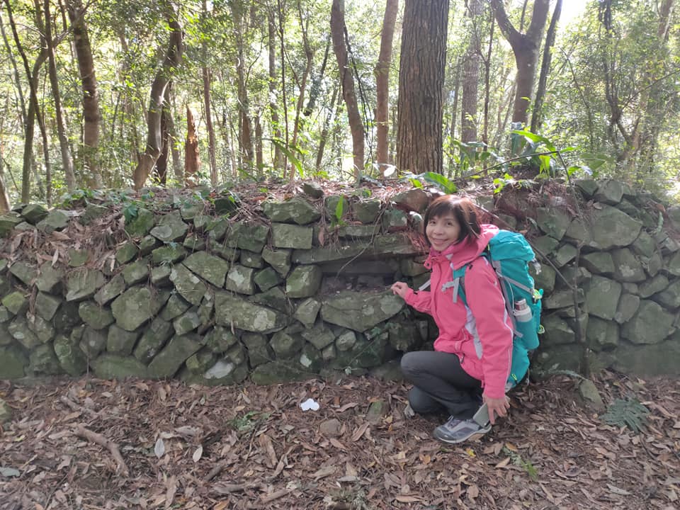 【桃園文選】冬季登芝生毛台山 景色典雅如詩 9