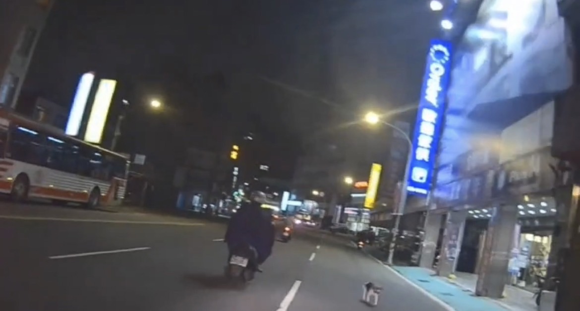 米格魯迷途街頭亂竄 女警帶回安置協尋飼主 S 114188327