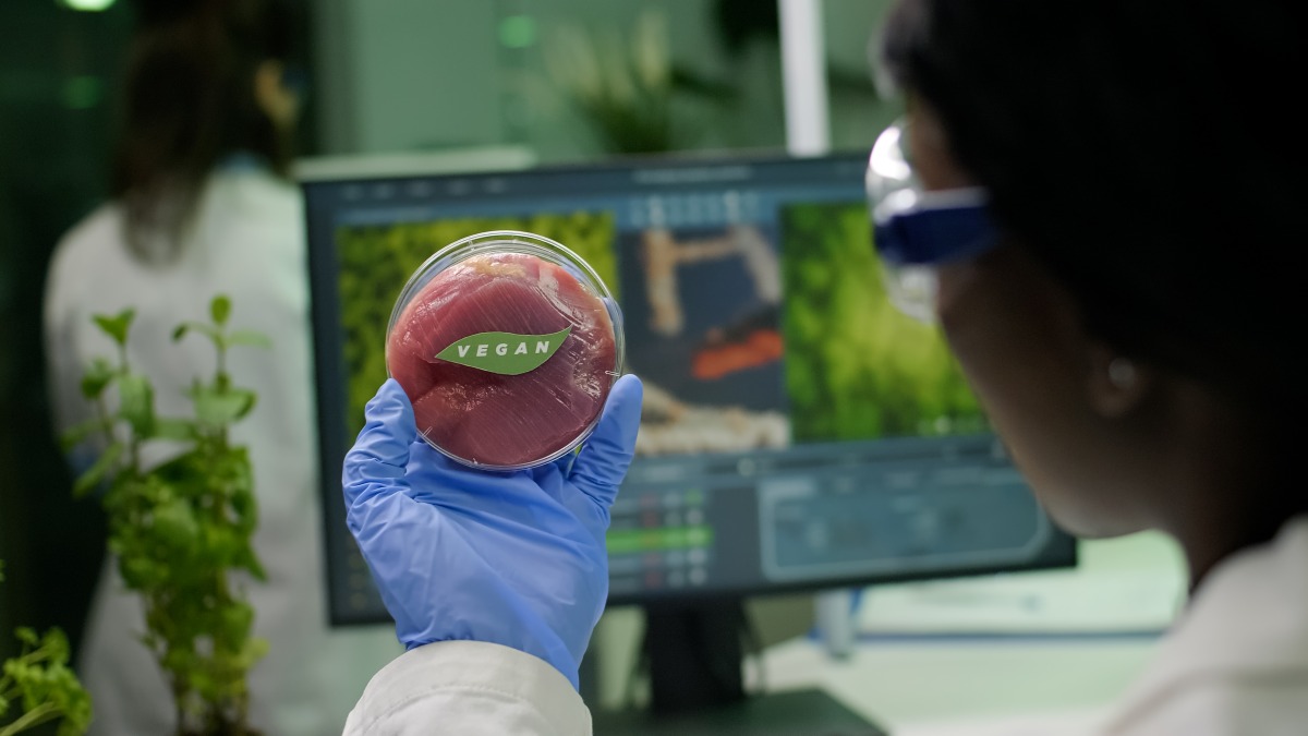 食品加工結合食安創造商機 植物肉將更有口感、多汁 closeup biologist researcher holding hands vegan beef meat sample