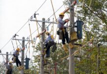 台電招新血!開出1078缺額 明年1/3報名開跑