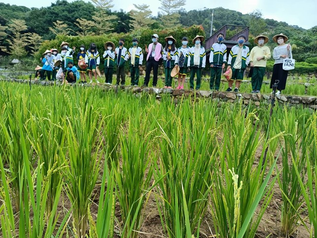 桃園工務局「都市農夫體驗營」春節前大有梯田生態公園熱情登場 圖片1 1