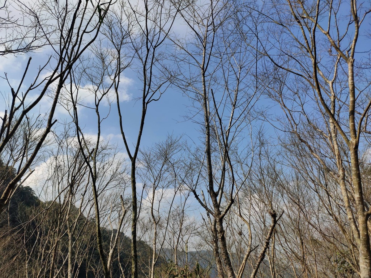 【桃園文選】曾走過 11 3