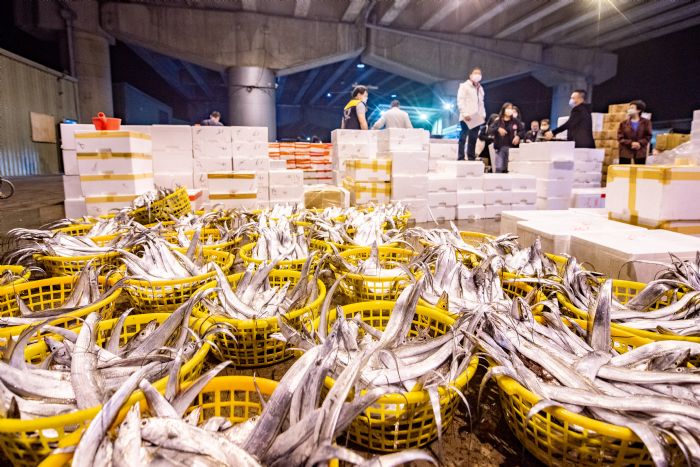 年前交易量大增 張善政清晨視察果菜市場、魚市場 20230113084434412