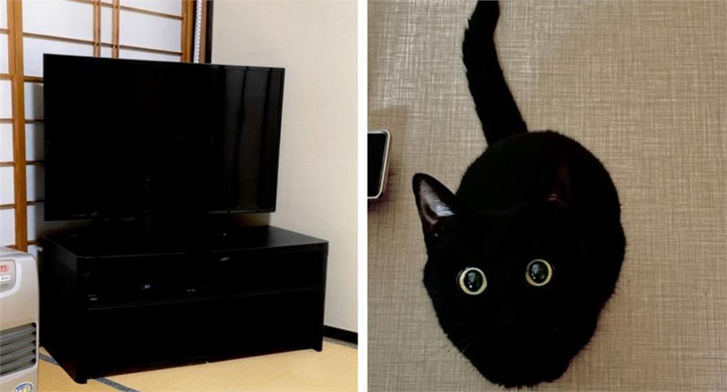 終極眼力考驗!全黑電視機暗藏「忍者貓」轉頭露餡網崩潰:太難啦