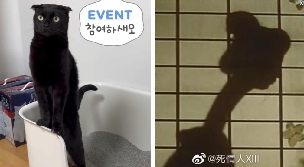 黑貓秒變日本傳說「長頸女妖」!驚悚畫面流出10萬人嚇歪