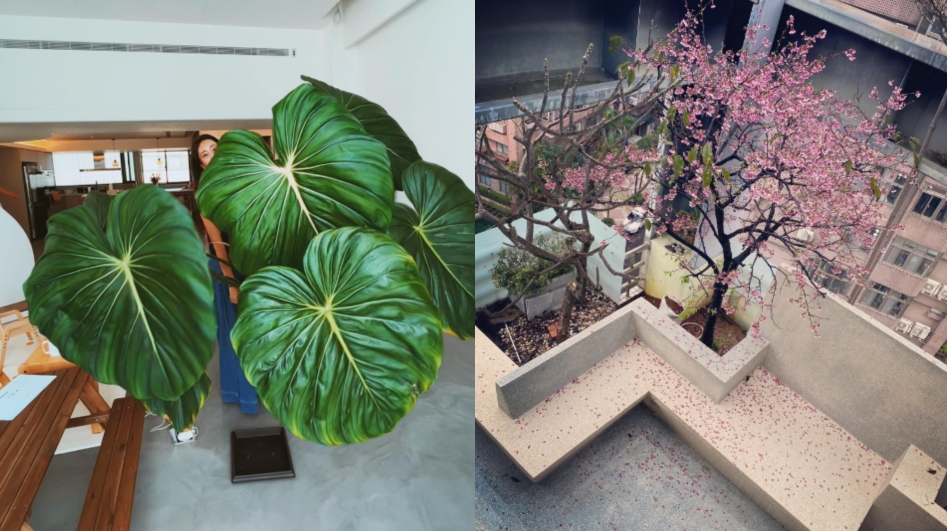 隋棠被控惡鄰居!8千萬豪宅奢華裝潢曝光 室內能玩溜滑梯看櫻花雨