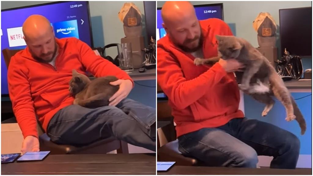 貓貓超黏男友 趴腿上被抱走秒崩潰「出抓狂叫」:我不要下來!