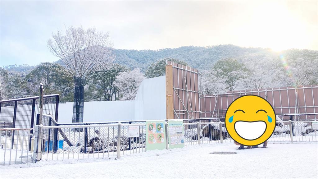 積雪河馬變身「顛倒握壽司」!網笑翻:歐伊系