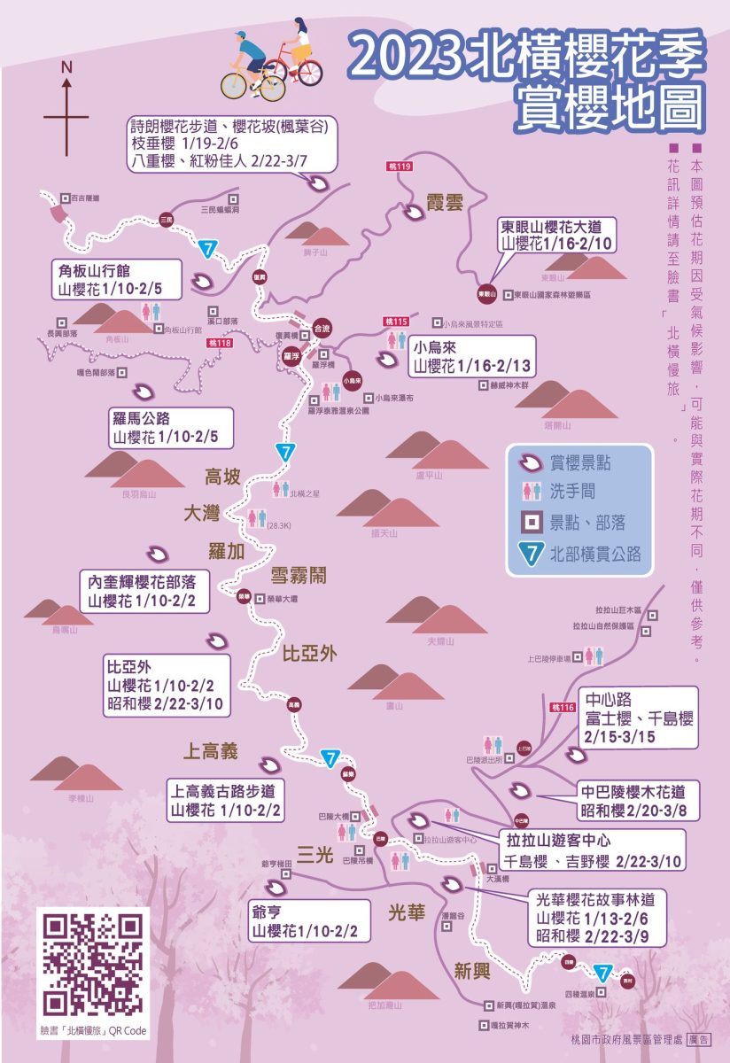 北橫櫻花季今起浪漫綻放 桃園風管處規劃接駁車 328085230 1232779547321747 5555735149149177278 n scaled