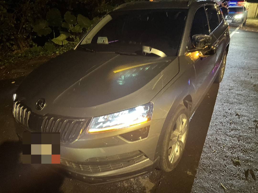 【有片】郊區山間狂風大作路樹砸車 蘆竹警鋸樹排除障礙 451607