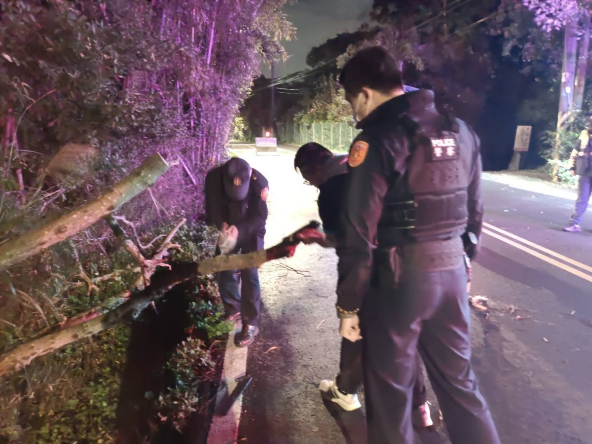 【有片】郊區山間狂風大作路樹砸車 蘆竹警鋸樹排除障礙 451608 scaled