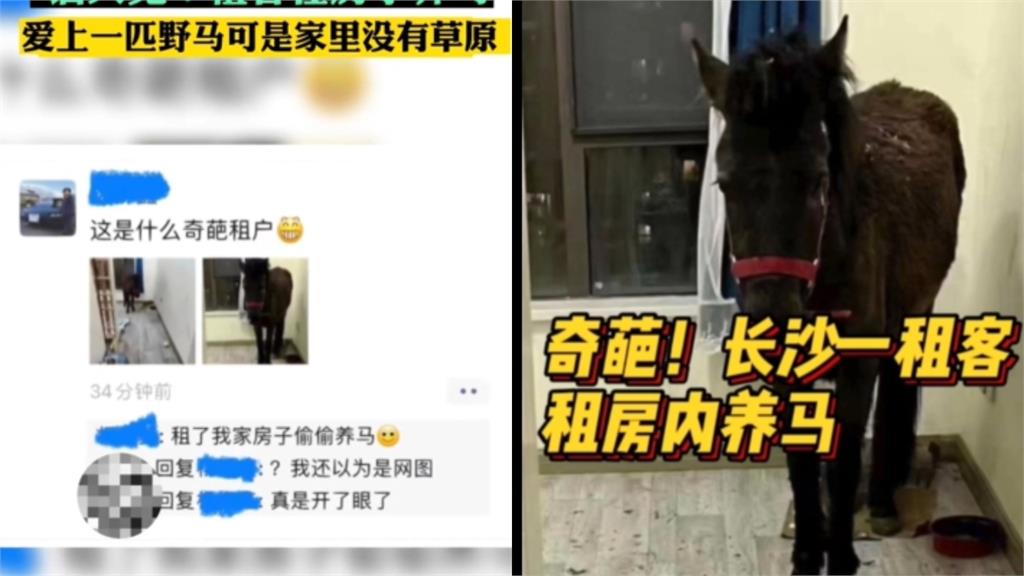 房東同意租客養寵物!開門驚見「一匹馬」傻眼了