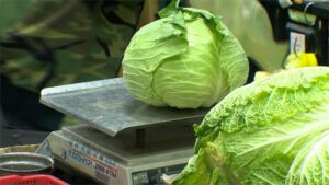 主計處公布CPI指數 高麗菜漲幅近6成居冠