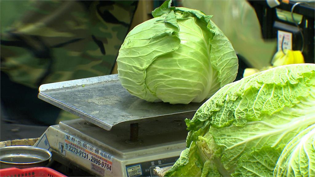 主計處公布CPI指數 高麗菜漲幅近6成居冠