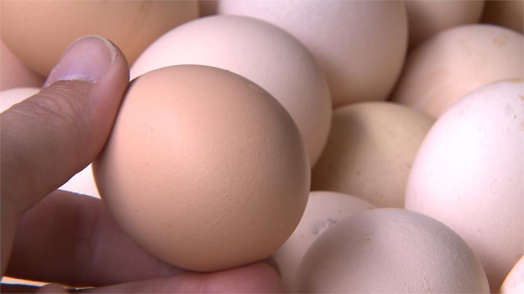 解決缺蛋根本問題 農委會祭「4大計劃」促蛋雞場革新