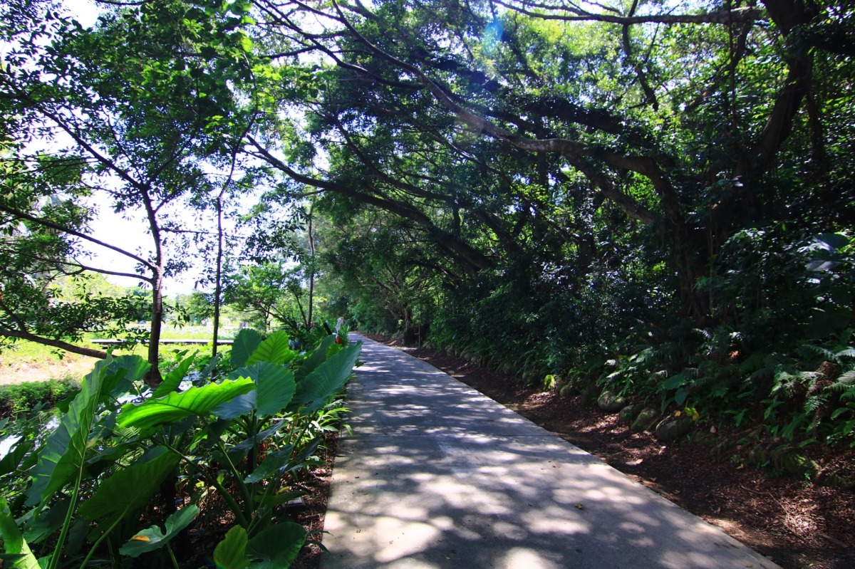 連假出遊攻略!桃園「中庄吊橋」打造環狀旅遊帶 飽覽大漢溪風光 LI4NE ALBUM 走訪中庄吊橋兩岸 欣賞大漢溪河階 230224