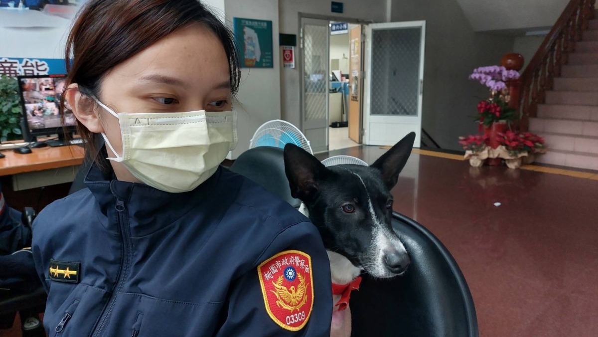 婦人溜狗迷途焦慮站路旁 女警聊狗經卸心防助返家 S 115597359