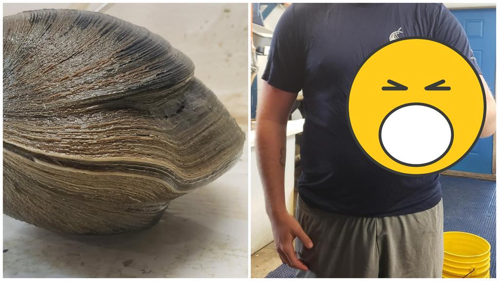 這顆蚌蠣已214歲「史上第4老」 最年長是牠