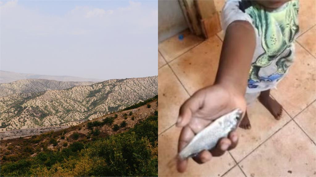 下「魚」了!暴風雨狂炸活跳銀魚 奇景曝光