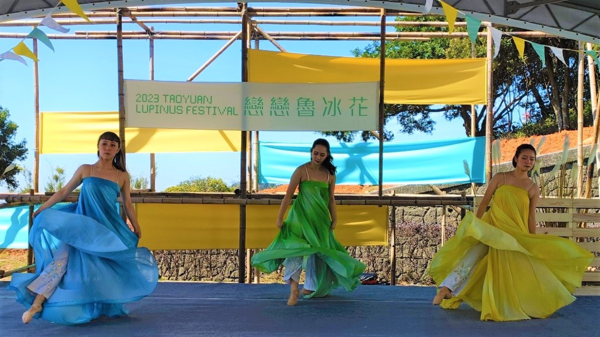 龍潭魯冰花季2/19登場 帶動地方茶產業觀光行銷 在地舞團甄舞集表演致敬山林現代舞蹈。