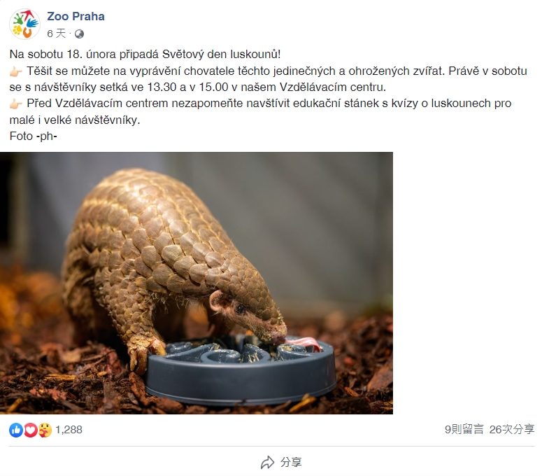 布拉格動物園嘗試轉移媽媽「潤喉糖」的注意力，將寶寶帶出來來進行人工哺育餵食（截