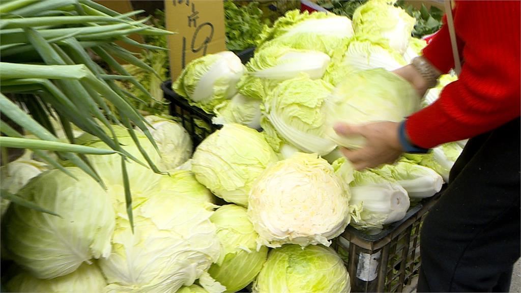 撿便宜!高麗菜大跌48% 每公斤不到10元