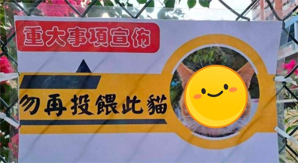 胖橘太貪吃「被通緝」紅到海外!真面目曝光網秒懂