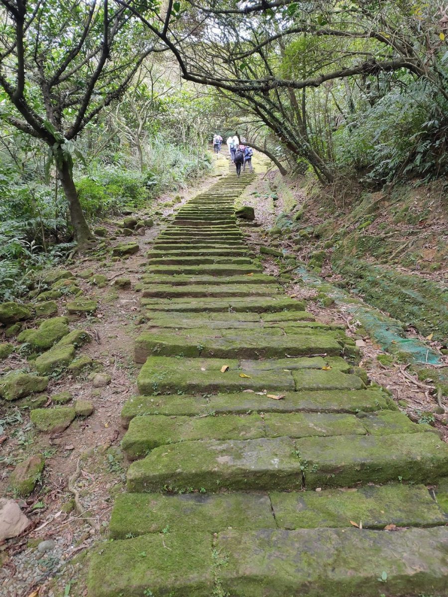 【桃園文選】漫步暖東峽谷 拍拍滿懷都是春 1 4 scaled