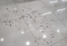 疑不滿同志情侶接吻 中壢男超商持刀砍人