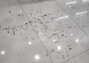 疑不滿同志情侶接吻 中壢男超商持刀砍人