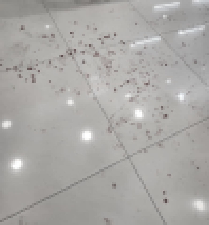 疑不滿同志情侶接吻 中壢男超商持刀砍人 11111