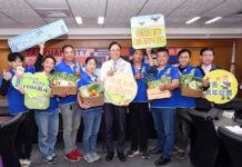 鼓勵青年從農 桃市府推最高500萬免息貸款補助