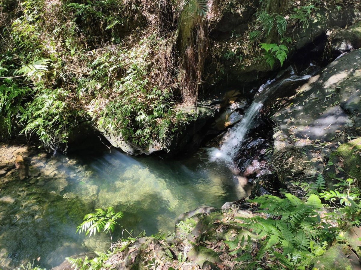 【桃園文選】遊走淡蘭古道 拾掇歷史的風華 12