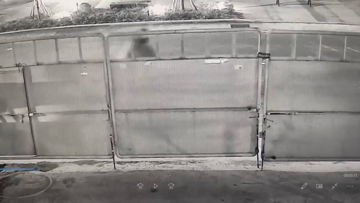 深夜潛工地偷電纜線 桃警循線網咖逮竊賊 1388982 scaled