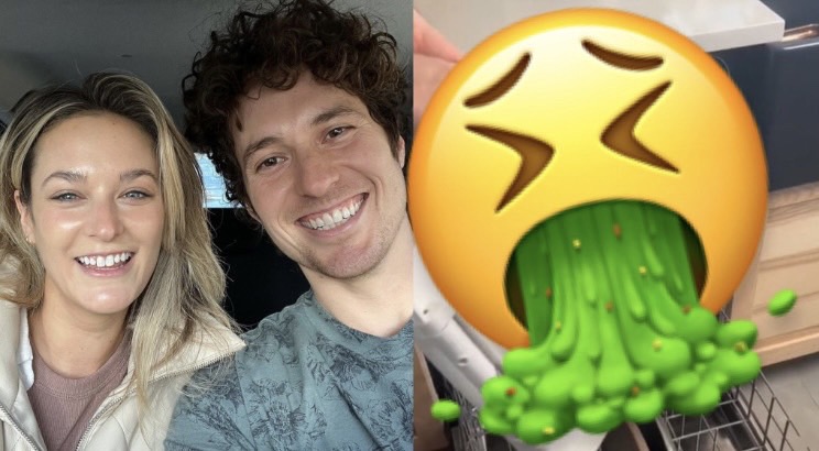 網紅拆馬桶坐墊「放洗碗機」!噁心畫面曝光