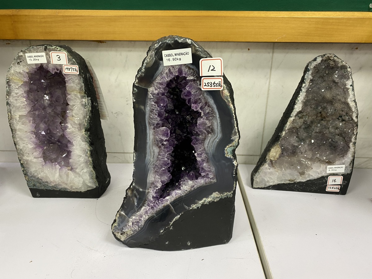 連假後準備搶標!桃園分署拍賣會4/11熱情登場 1680227350431